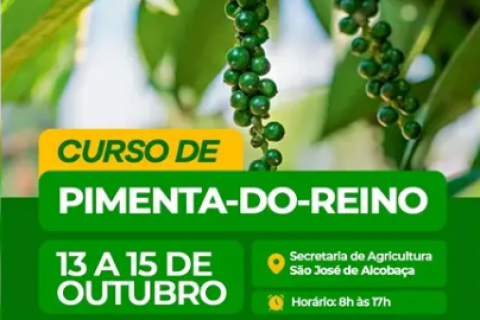 Alcobaça promove curso de cultivo de pimenta-do-reino em parceria com o SENAR